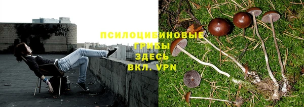 марки nbome Баксан
